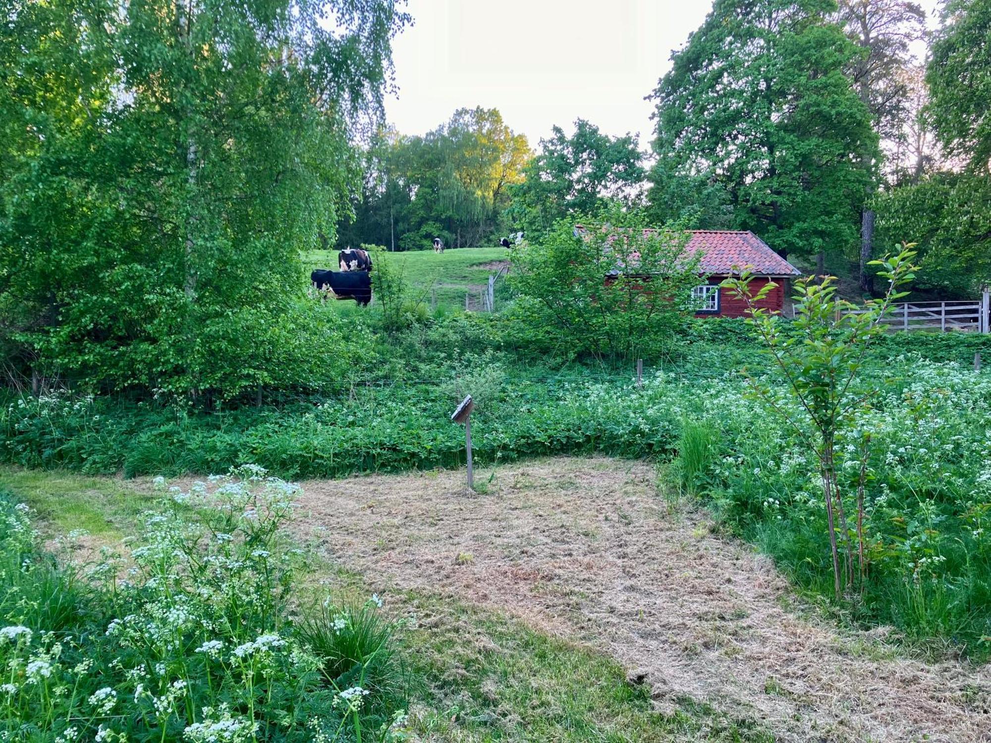 Lidhem Herrgard. Bed & Breakfast Och Mindre Laegenheter Vimmerby Eksteriør billede