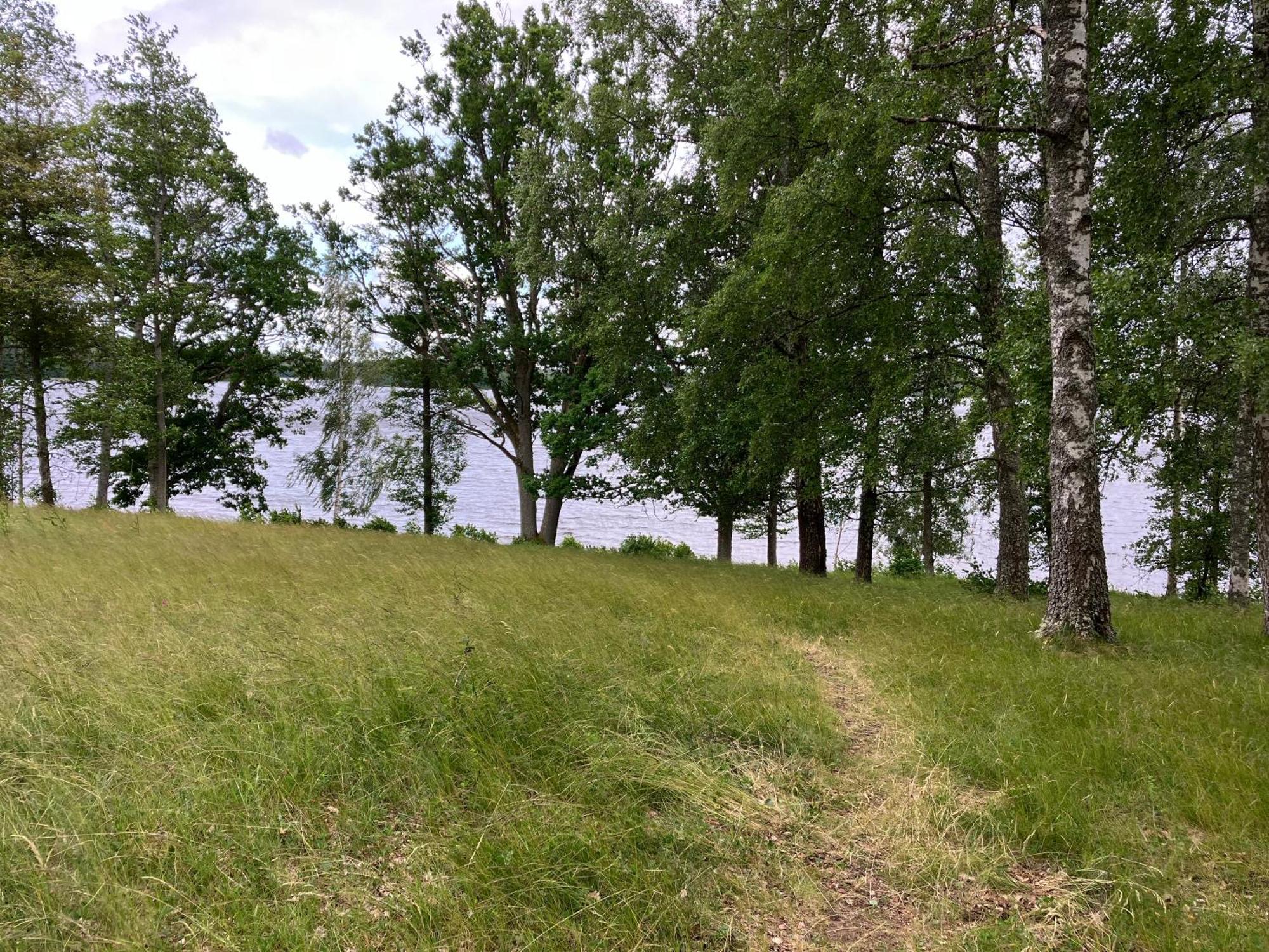 Lidhem Herrgard. Bed & Breakfast Och Mindre Laegenheter Vimmerby Eksteriør billede