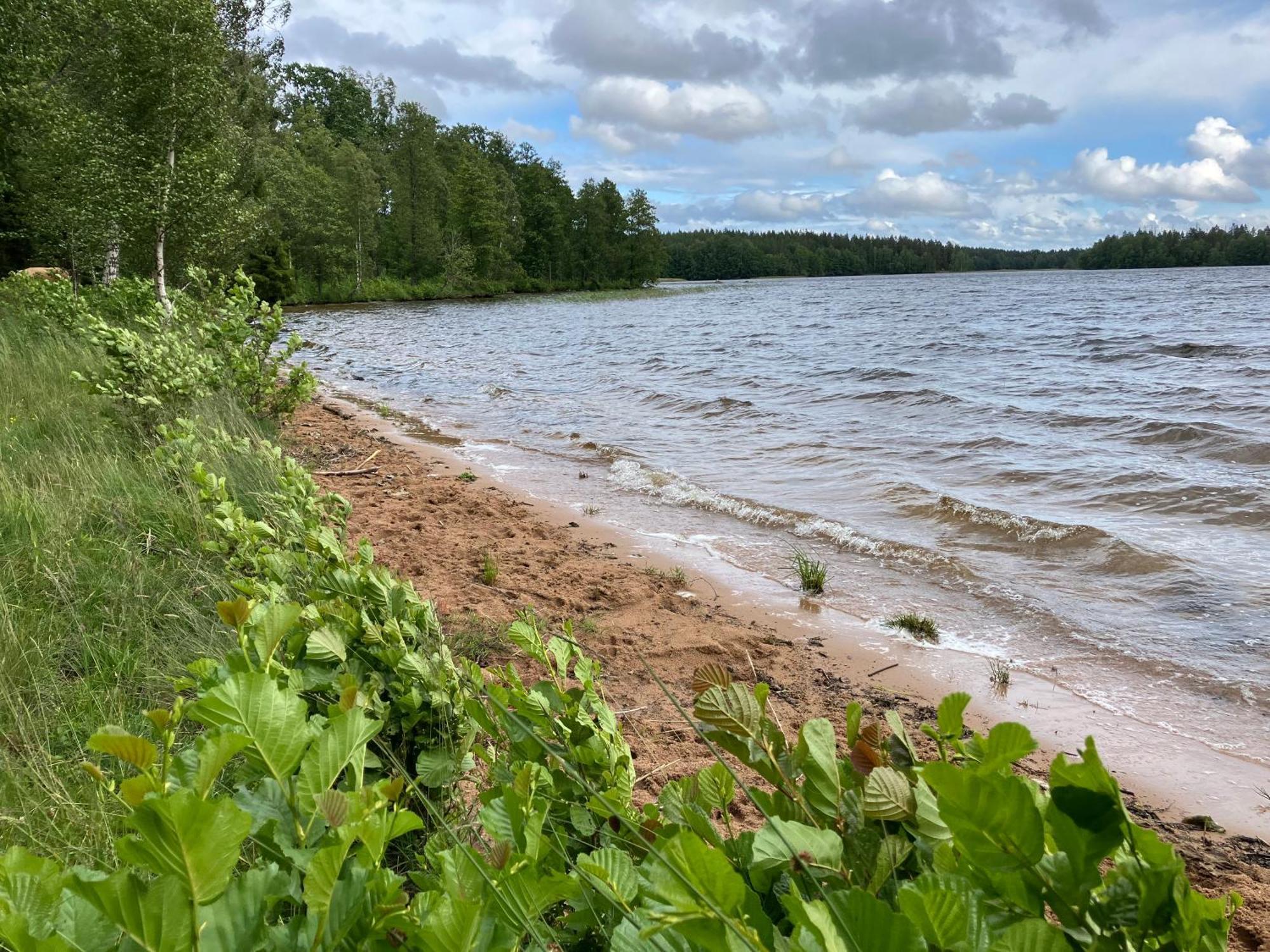 Lidhem Herrgard. Bed & Breakfast Och Mindre Laegenheter Vimmerby Eksteriør billede