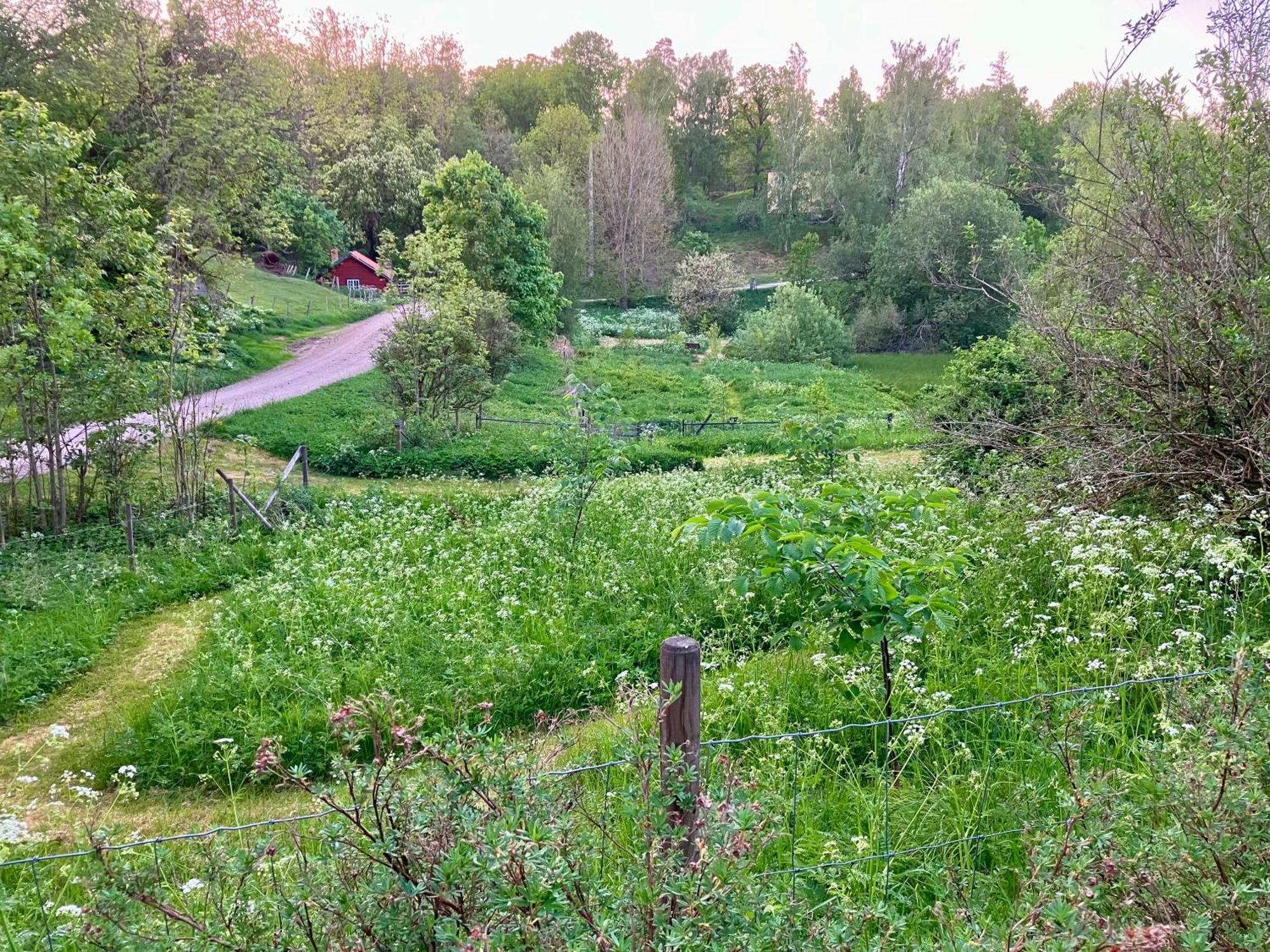 Lidhem Herrgard. Bed & Breakfast Och Mindre Laegenheter Vimmerby Eksteriør billede